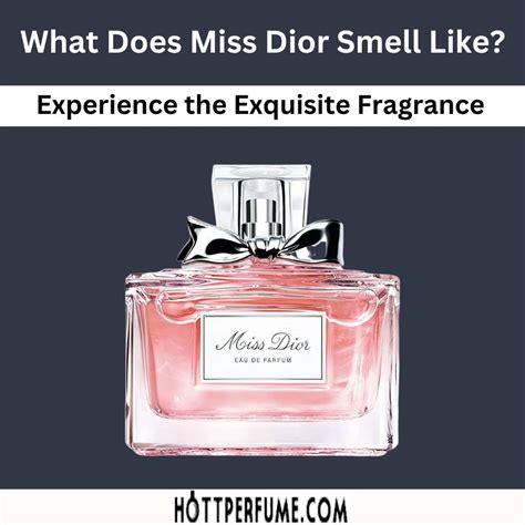 miss dior bewertung|what smells like miss dior.